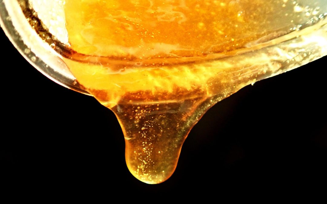 Cleopatra’s Egypt Ancient Secrets